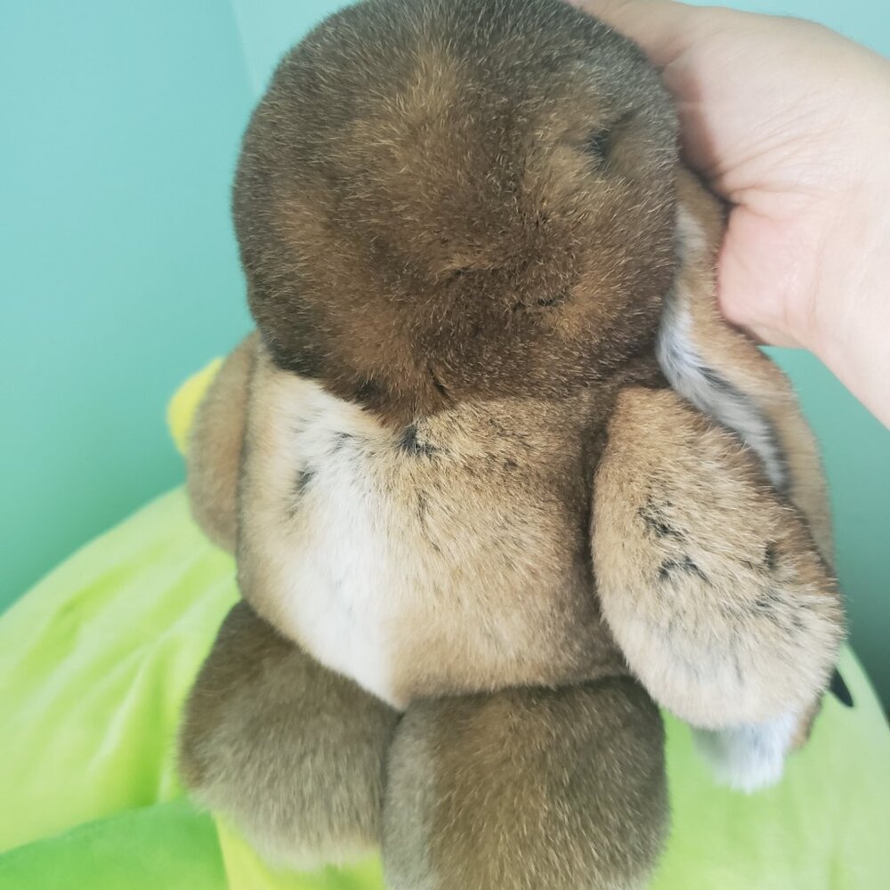 Rabbit - Picture 4 of 6